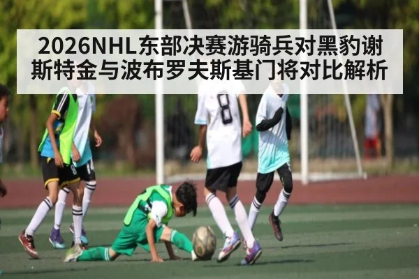2026NHL东部决赛游骑兵对黑豹谢斯特金与波布罗夫斯基门将对比解析